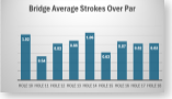 Bridge Avg Per Nine